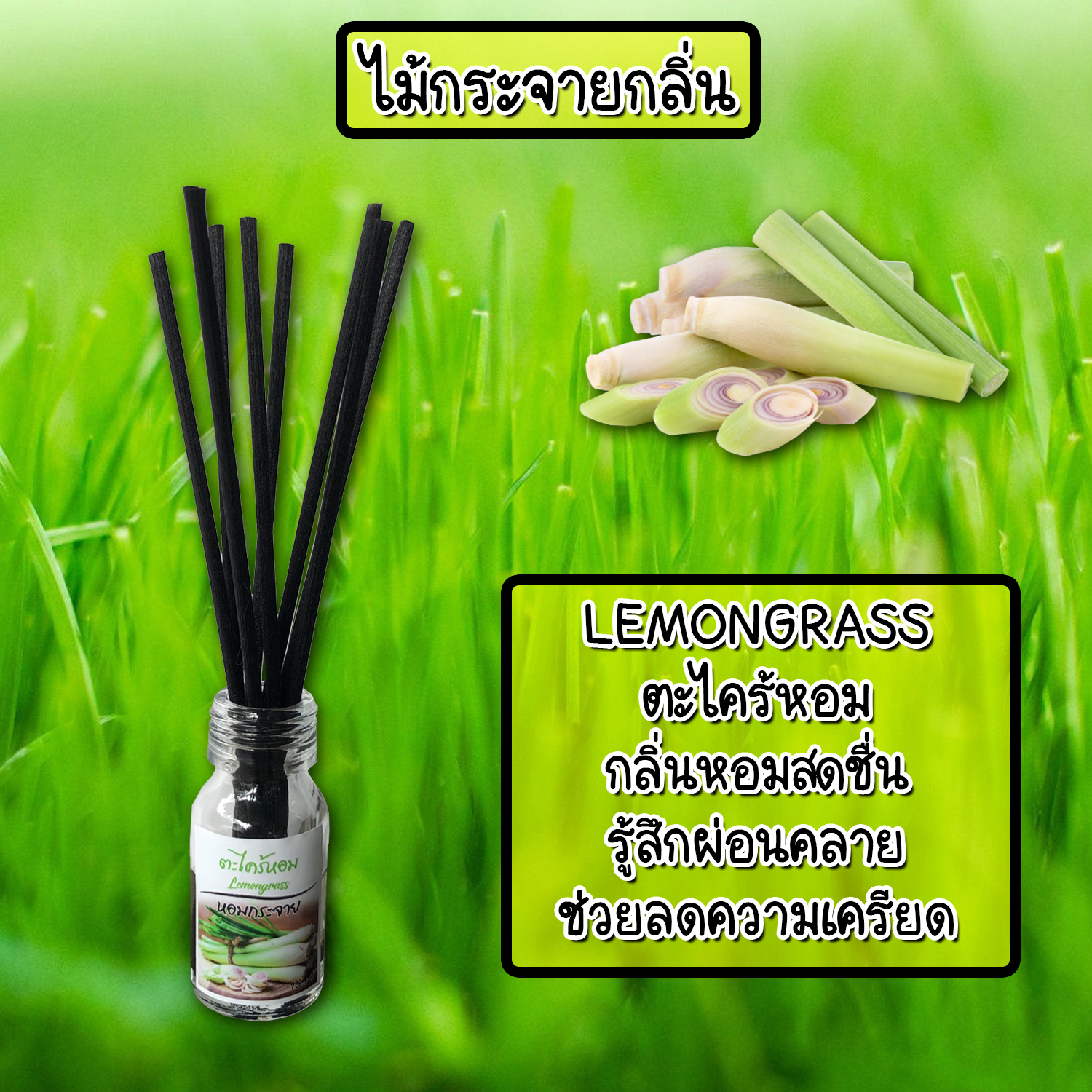 ไม้กระจายกลิ่นหอมปรับอากาศ กลิ่น ตะไคร้