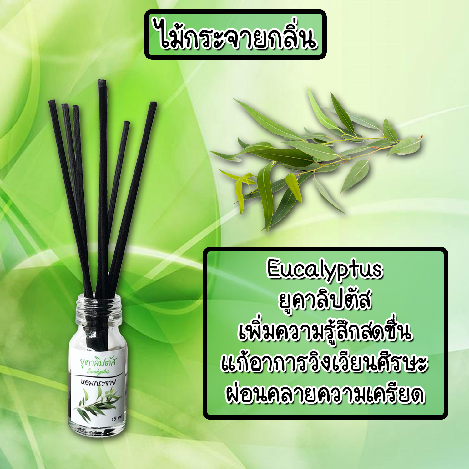 ไม้กระจายกลิ่นหอมปรับอากาศ กลิ่น ยูคาลิปตัส